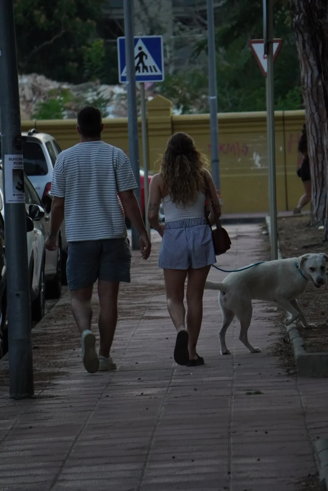 Una pareja pasea con su perro por la calle, junto a la terraza.